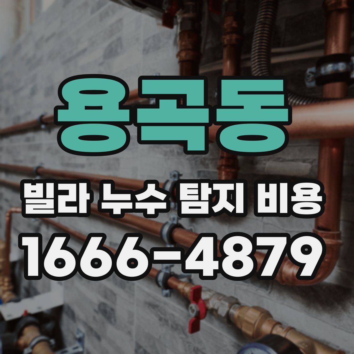 용곡동 빌라 누수 탐지 비용