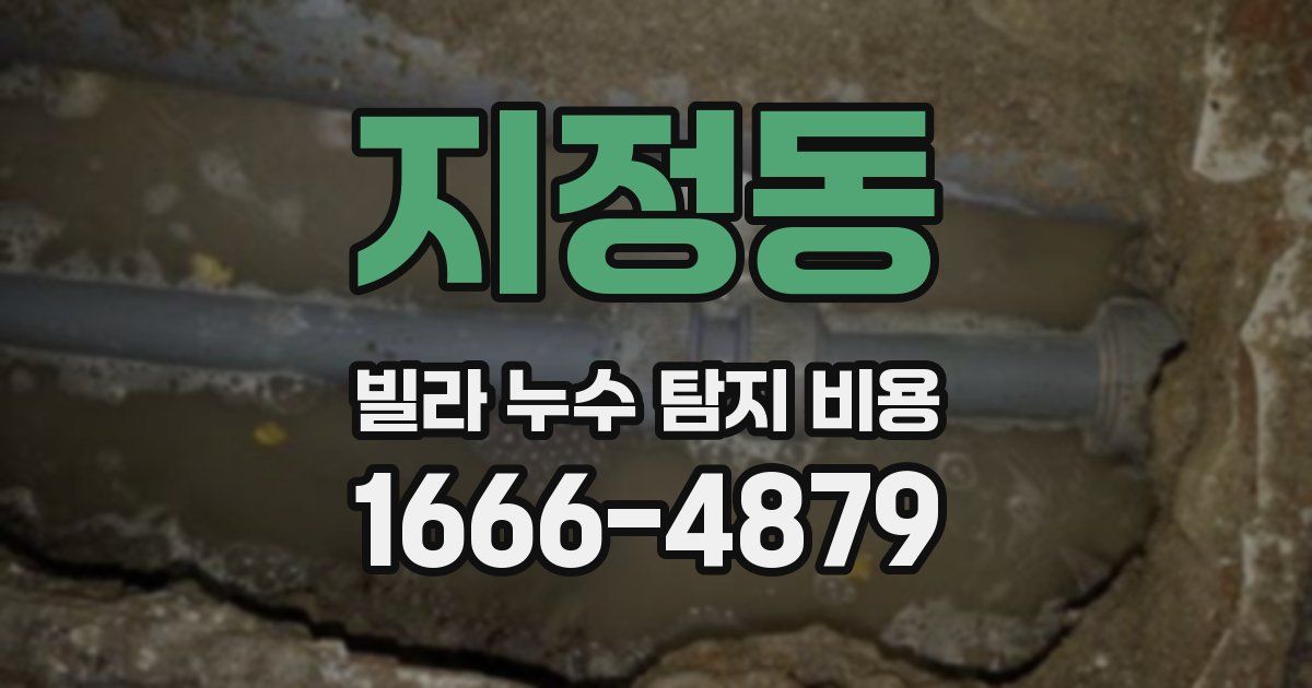 지정동 빌라 누수 탐지 비용