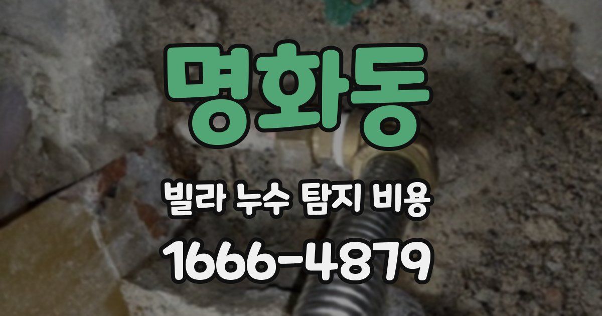 명화동 빌라 누수 탐지 비용