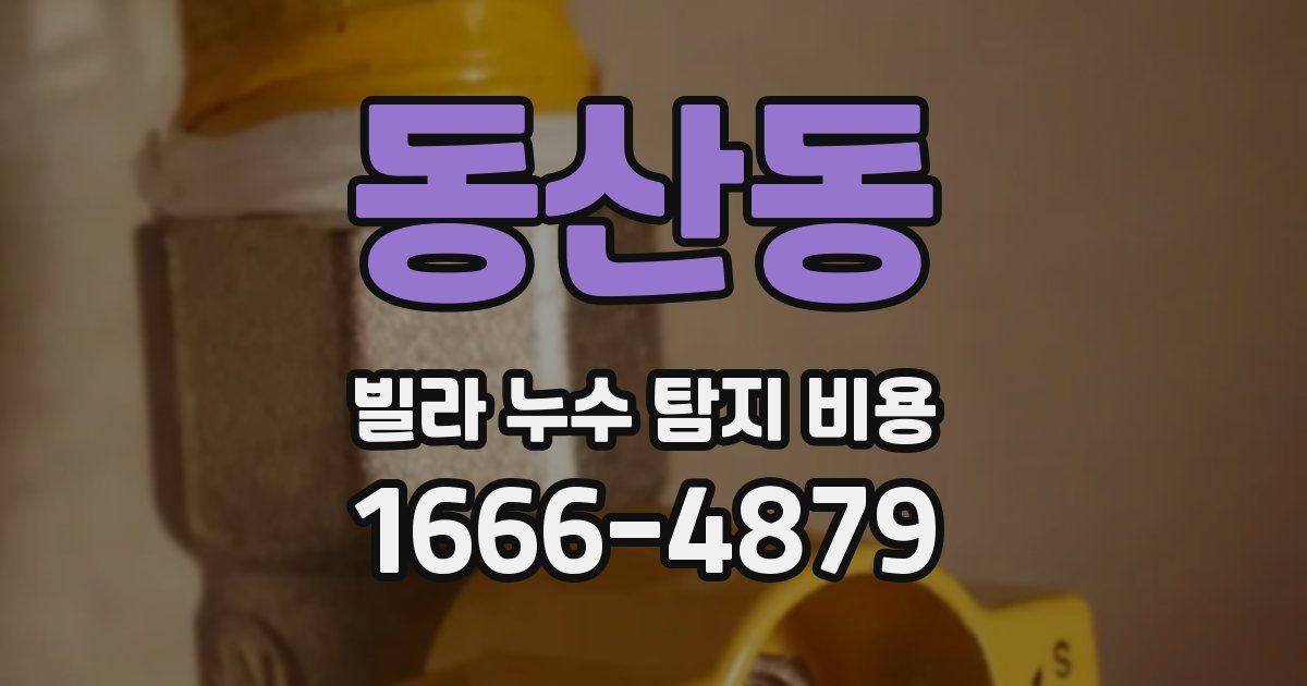 동산동 빌라 누수 탐지 비용