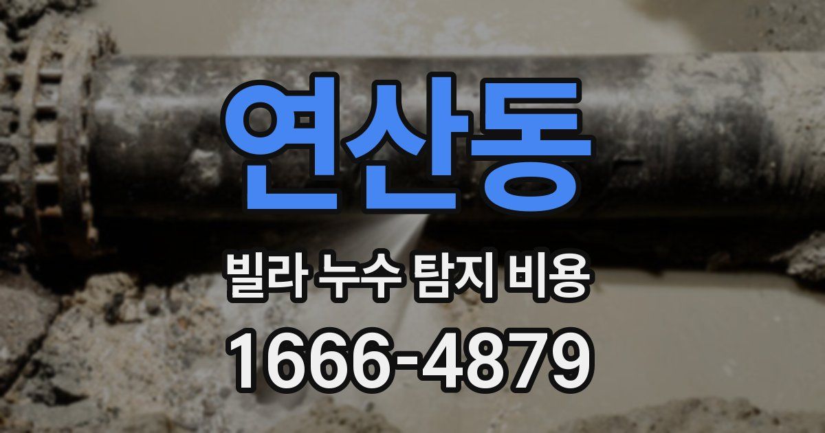 연산동 빌라 누수 탐지 비용