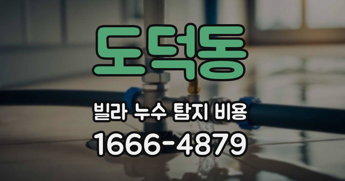 도덕동 빌라 누수 탐지 비용