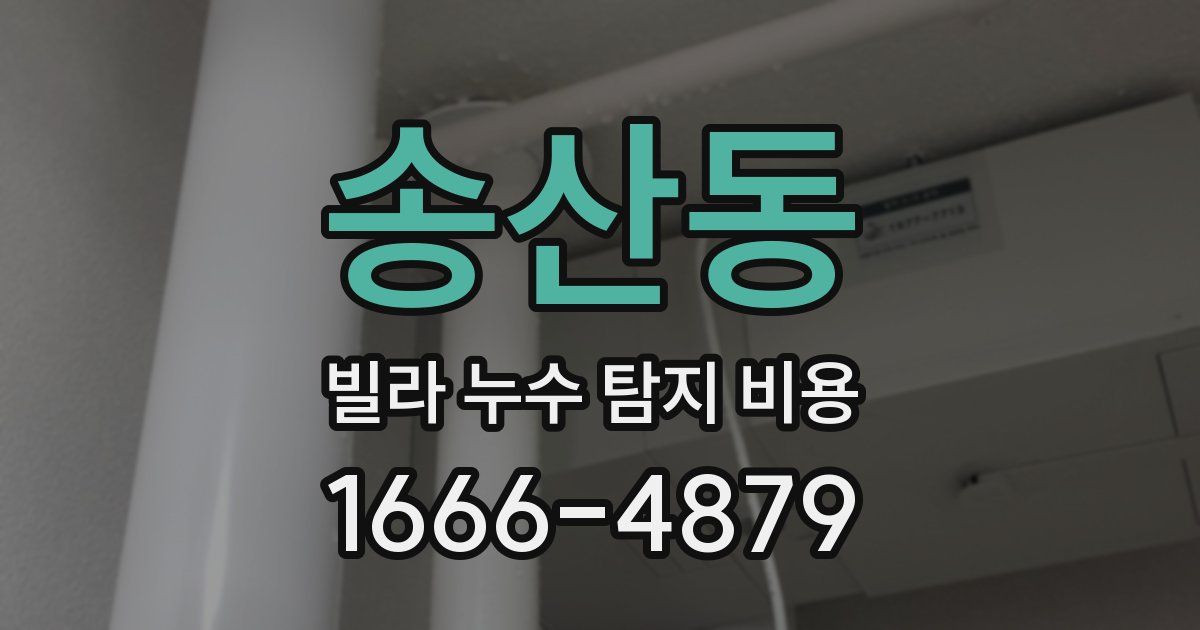송산동 빌라 누수 탐지 비용