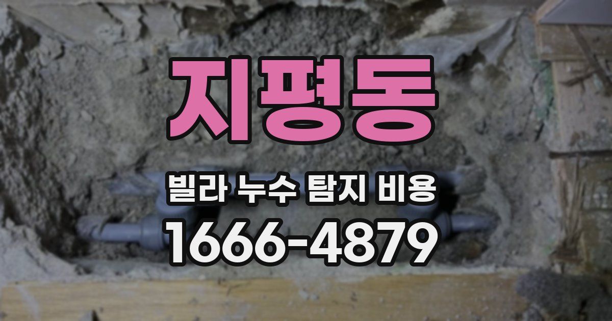 지평동 빌라 누수 탐지 비용