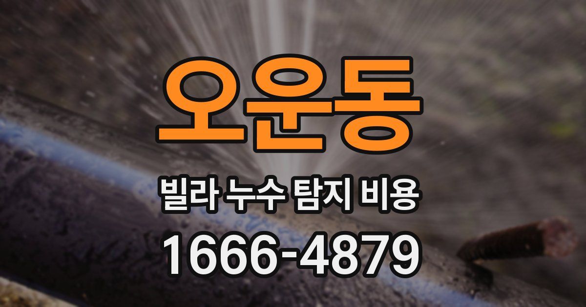오운동 빌라 누수 탐지 비용