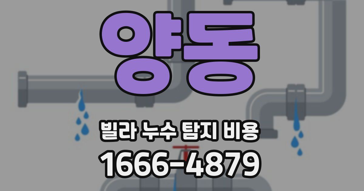 양동 빌라 누수 탐지 비용
