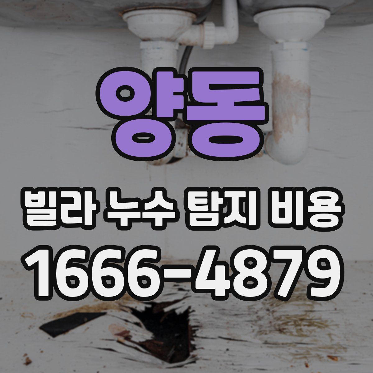 양동 빌라 누수 탐지 비용