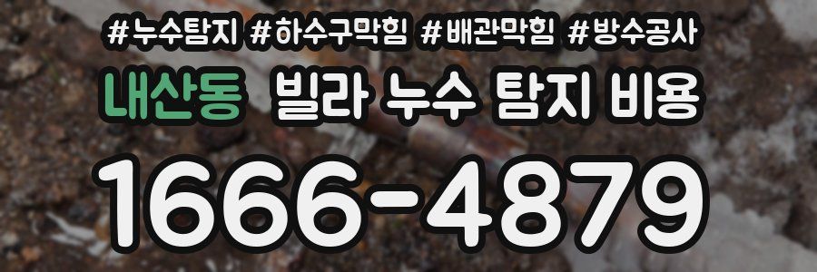 내산동 빌라 누수 탐지 비용