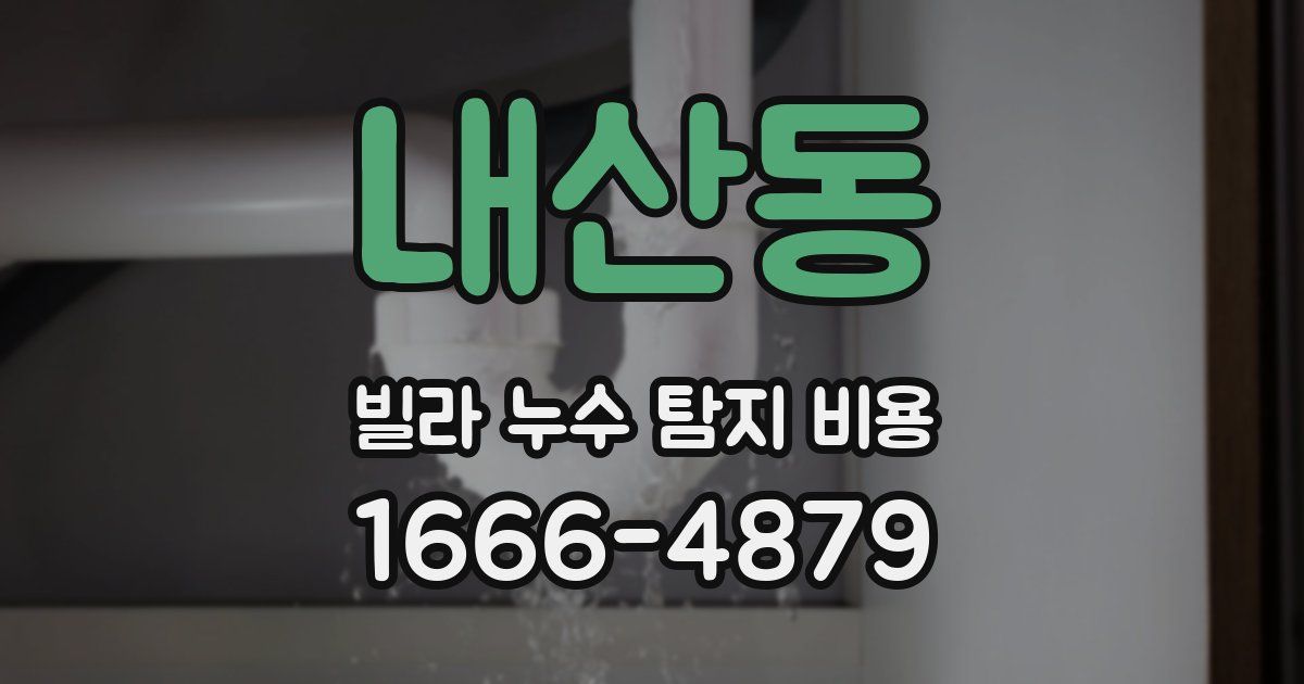 내산동 빌라 누수 탐지 비용