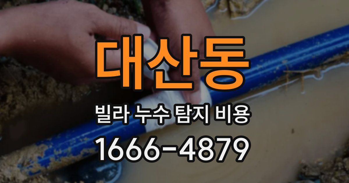 대산동 빌라 누수 탐지 비용