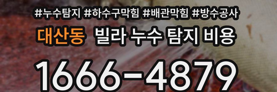 대산동 빌라 누수 탐지 비용