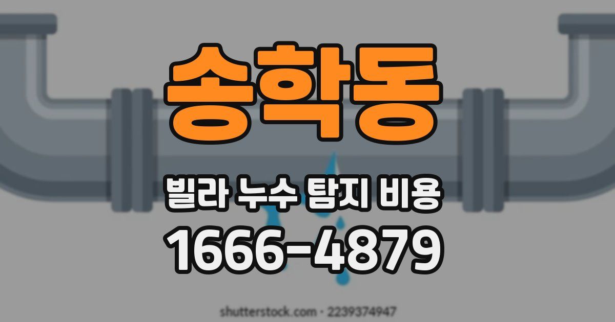 송학동 빌라 누수 탐지 비용