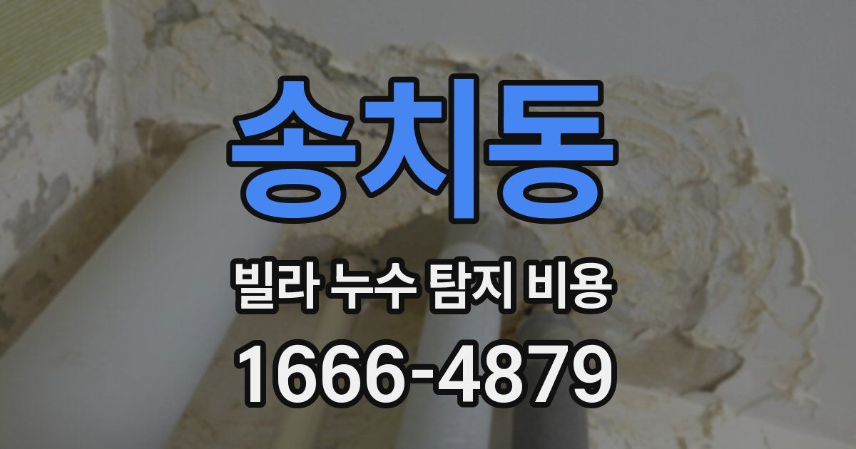 송치동 빌라 누수 탐지 비용