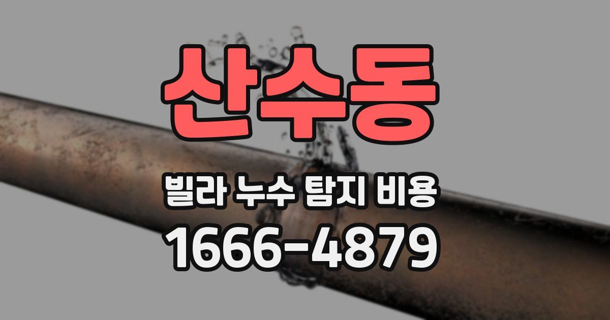 산수동 빌라 누수 탐지 비용