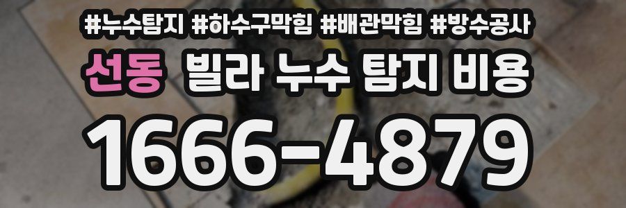 선동 빌라 누수 탐지 비용