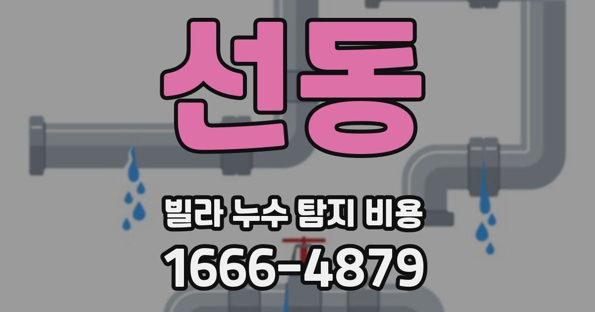 선동 빌라 누수 탐지 비용