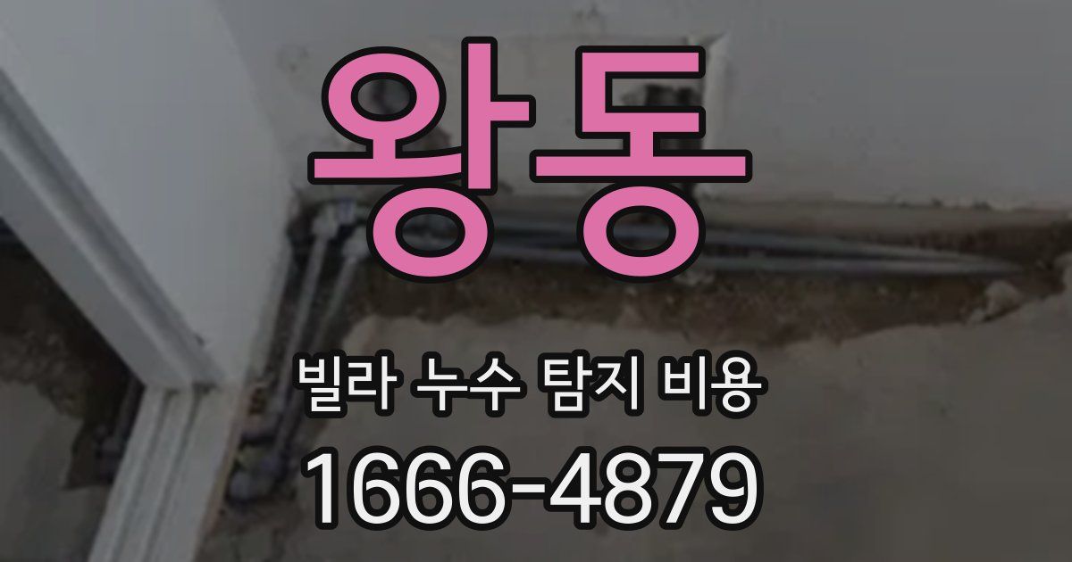 왕동 빌라 누수 탐지 비용