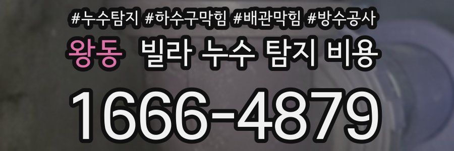 왕동 빌라 누수 탐지 비용