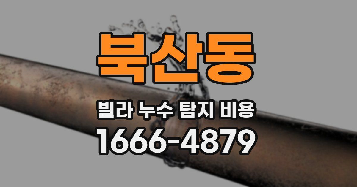 북산동 빌라 누수 탐지 비용