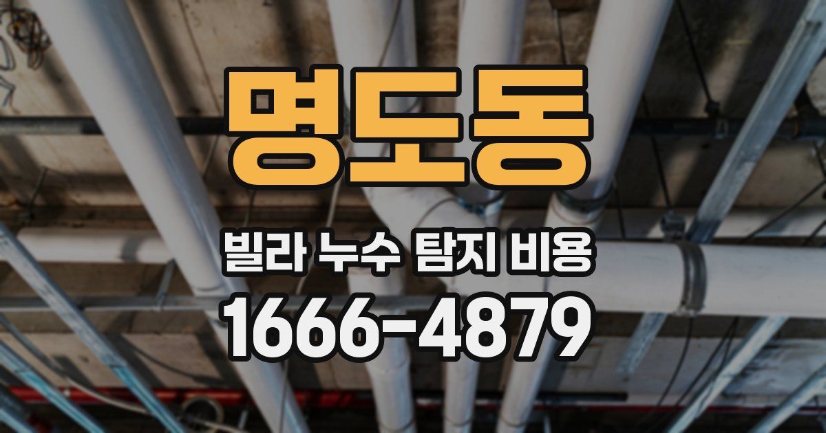 명도동 빌라 누수 탐지 비용