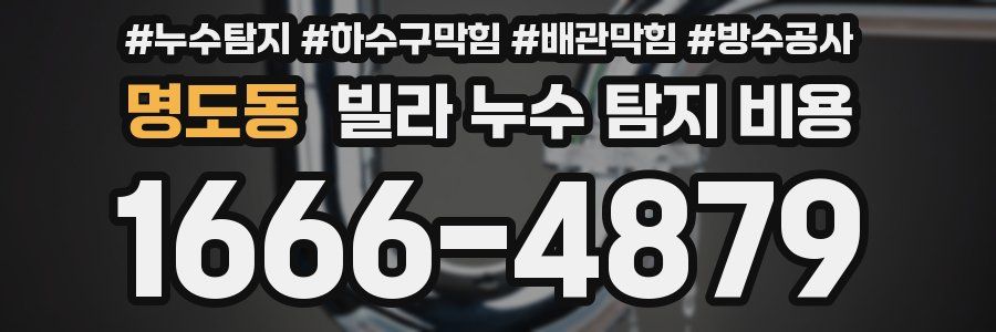 명도동 빌라 누수 탐지 비용
