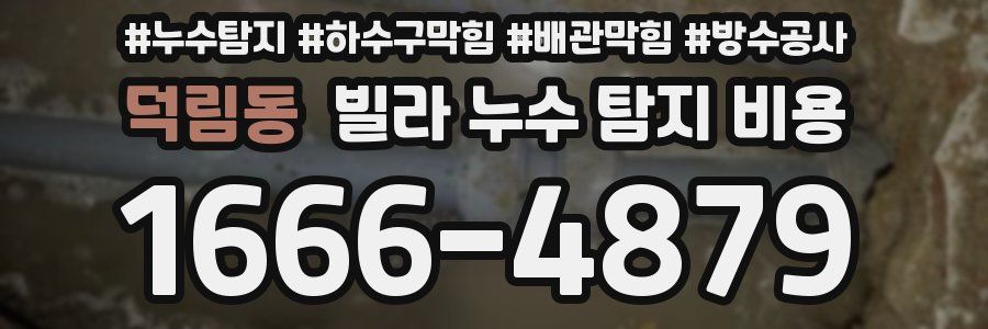 덕림동 빌라 누수 탐지 비용