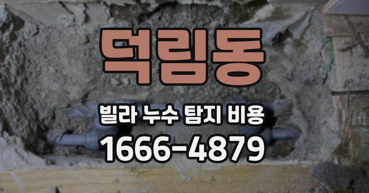 덕림동 빌라 누수 탐지 비용