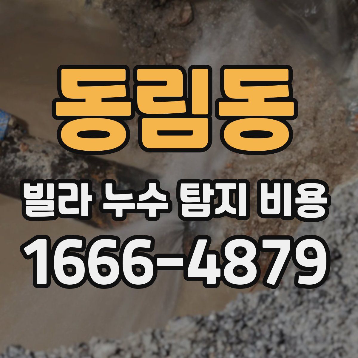 동림동 빌라 누수 탐지 비용