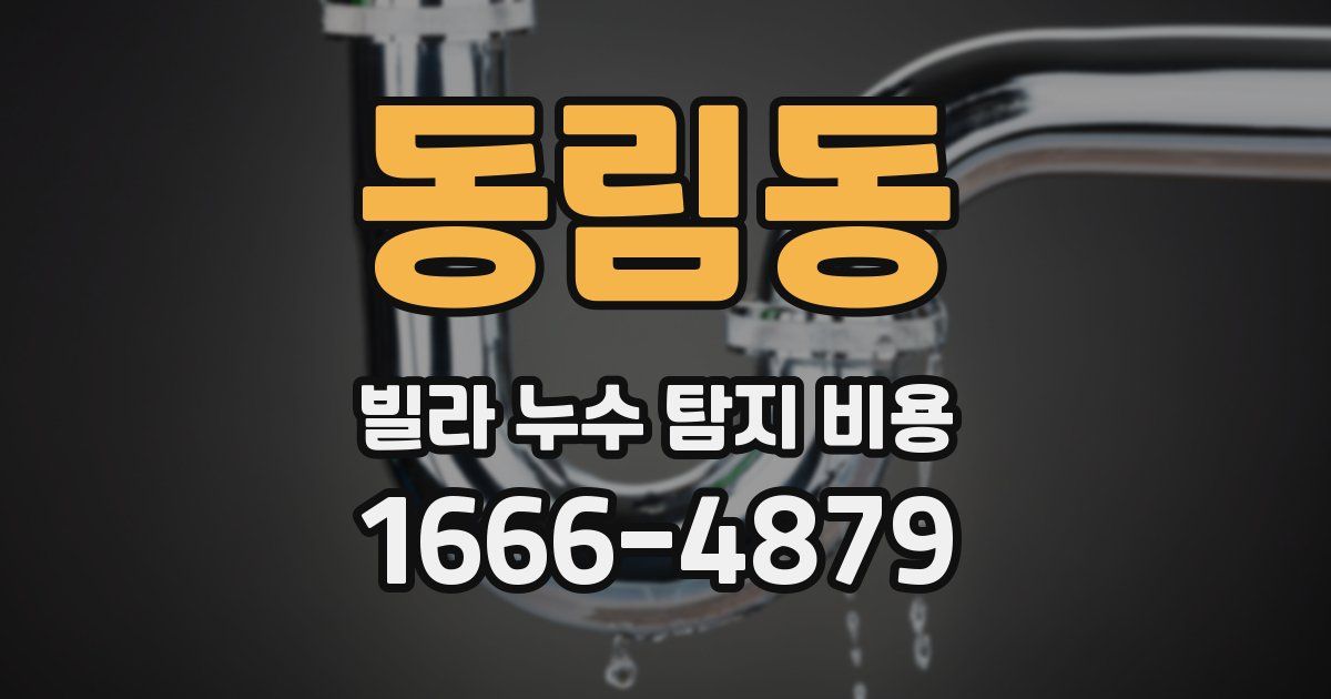 동림동 빌라 누수 탐지 비용