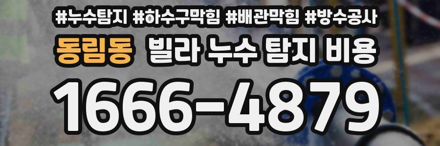 동림동 빌라 누수 탐지 비용