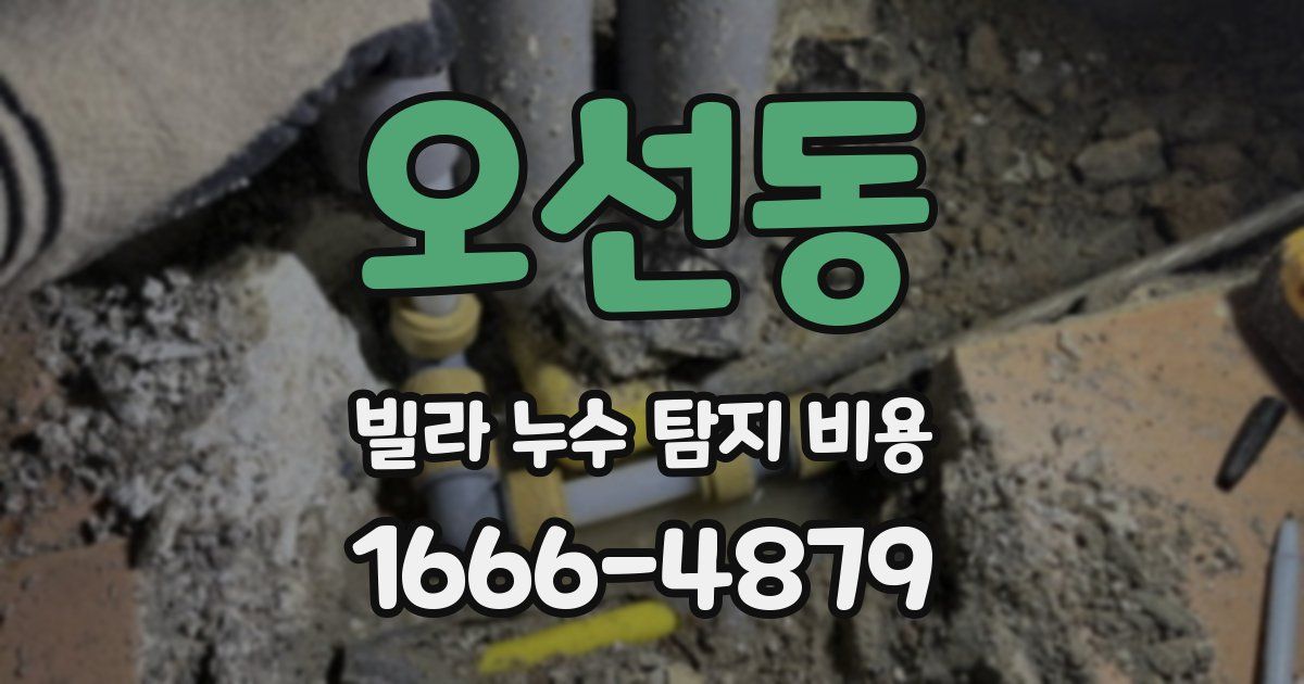 오선동 빌라 누수 탐지 비용
