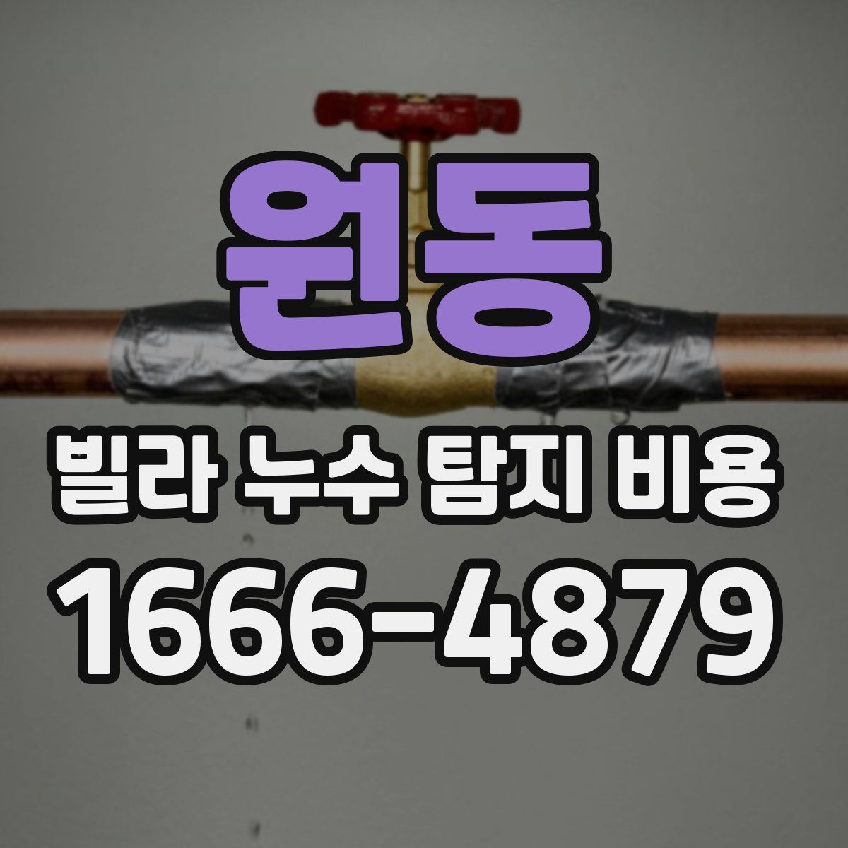 원동 빌라 누수 탐지 비용