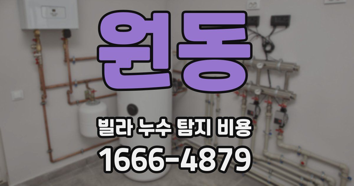 원동 빌라 누수 탐지 비용