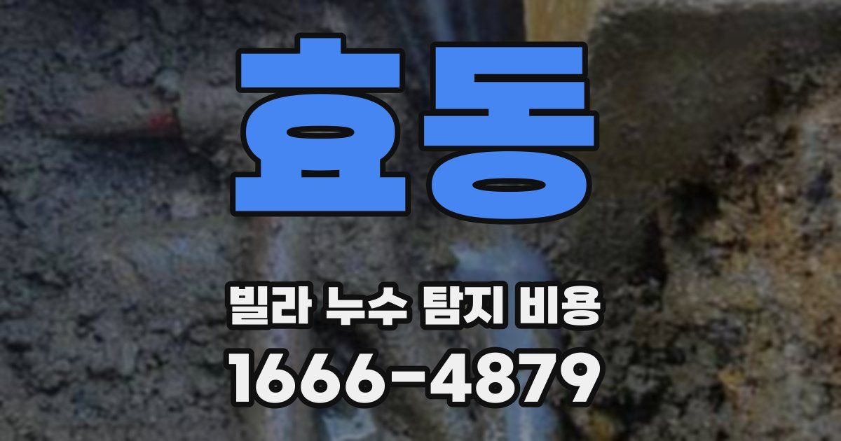 효동 빌라 누수 탐지 비용