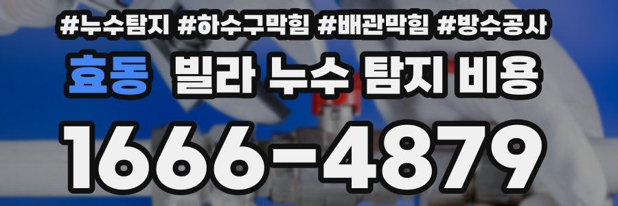 효동 빌라 누수 탐지 비용