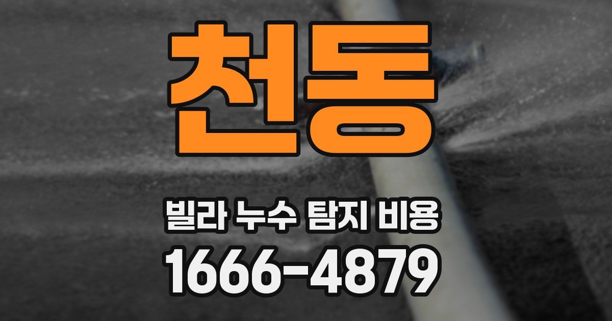 천동 빌라 누수 탐지 비용