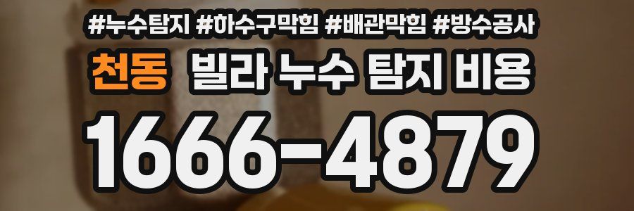 천동 빌라 누수 탐지 비용