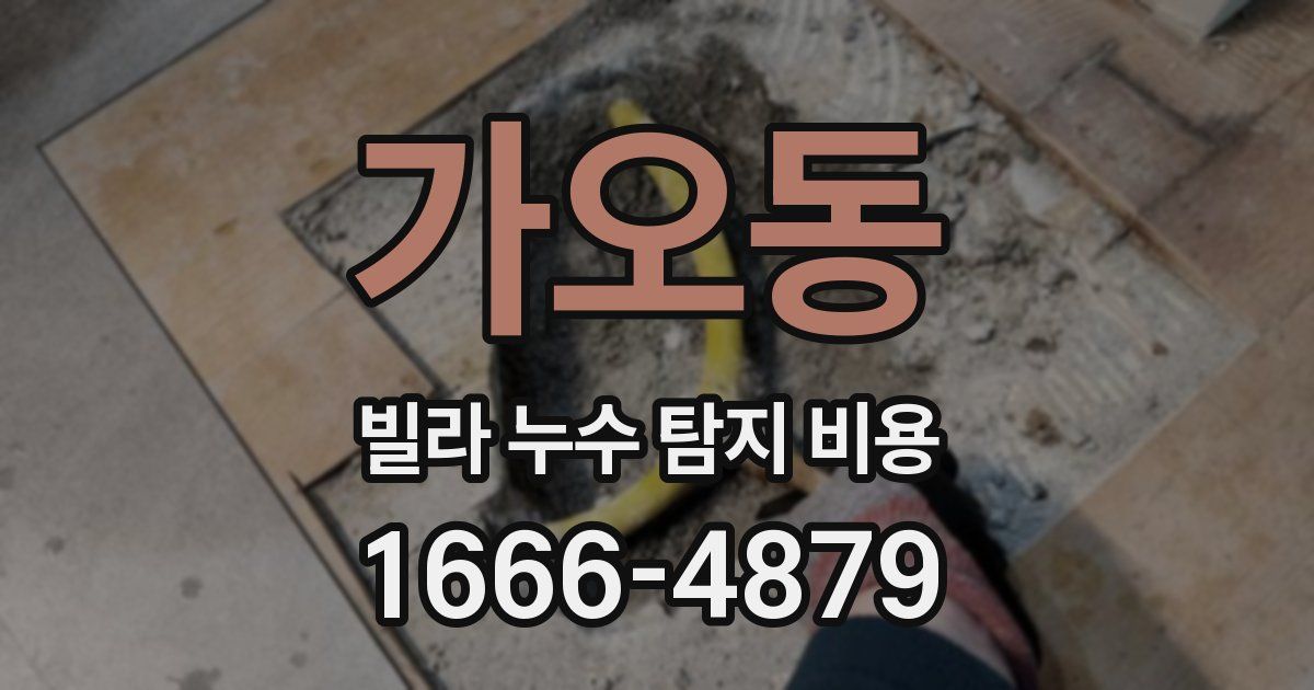 가오동 빌라 누수 탐지 비용