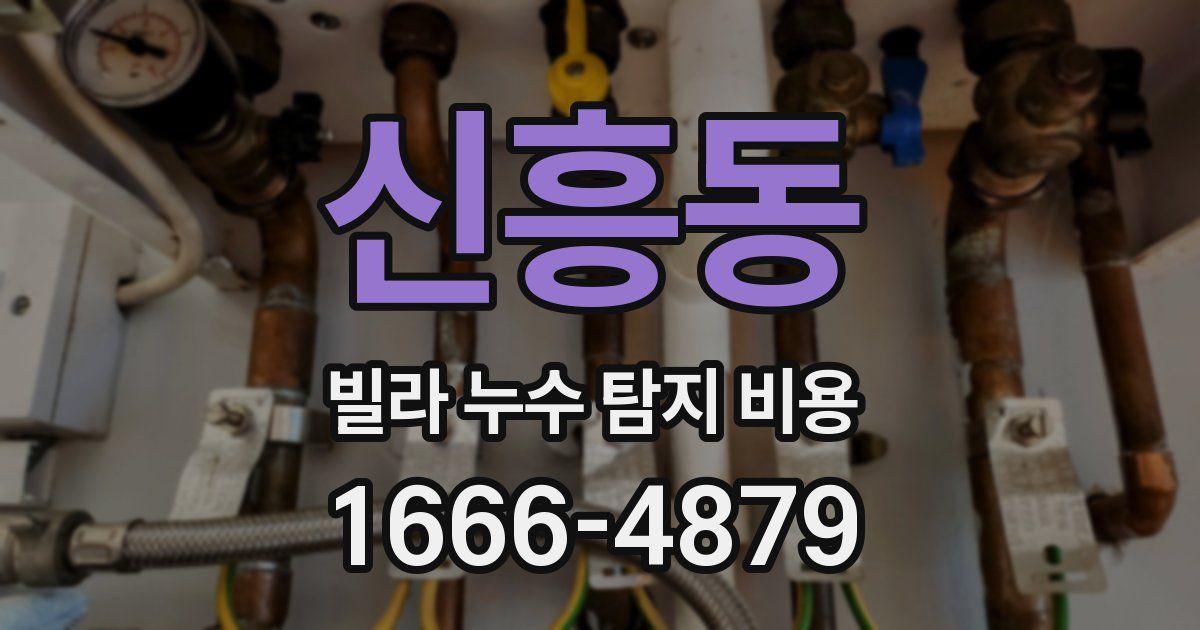 신흥동 빌라 누수 탐지 비용