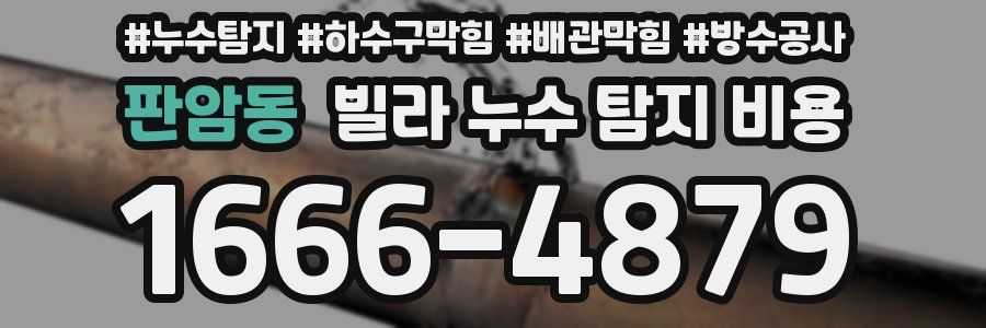판암동 빌라 누수 탐지 비용