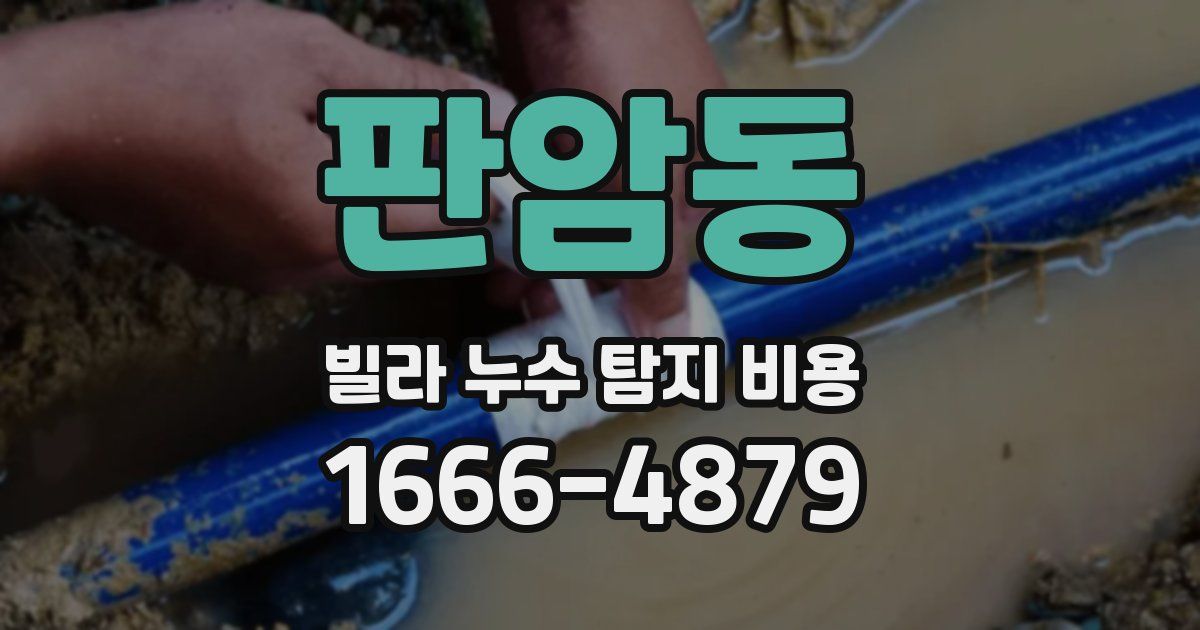 판암동 빌라 누수 탐지 비용