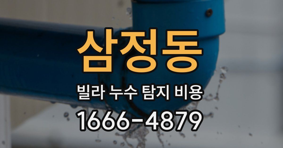 삼정동 빌라 누수 탐지 비용