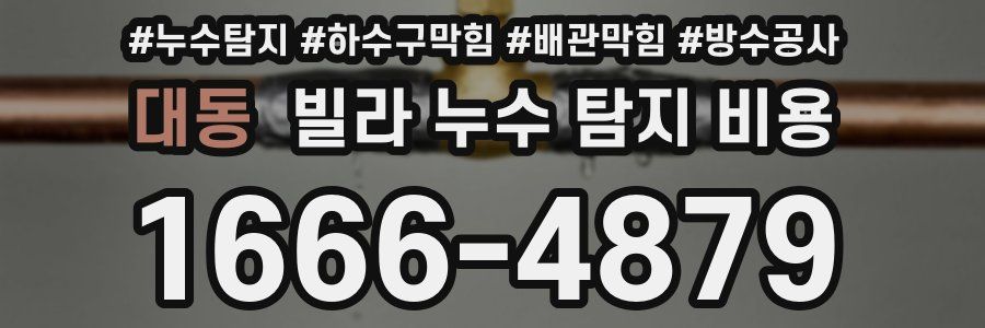 대동 빌라 누수 탐지 비용