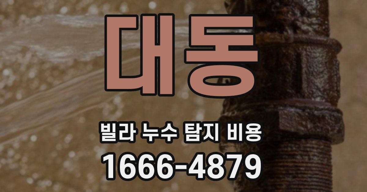 대동 빌라 누수 탐지 비용