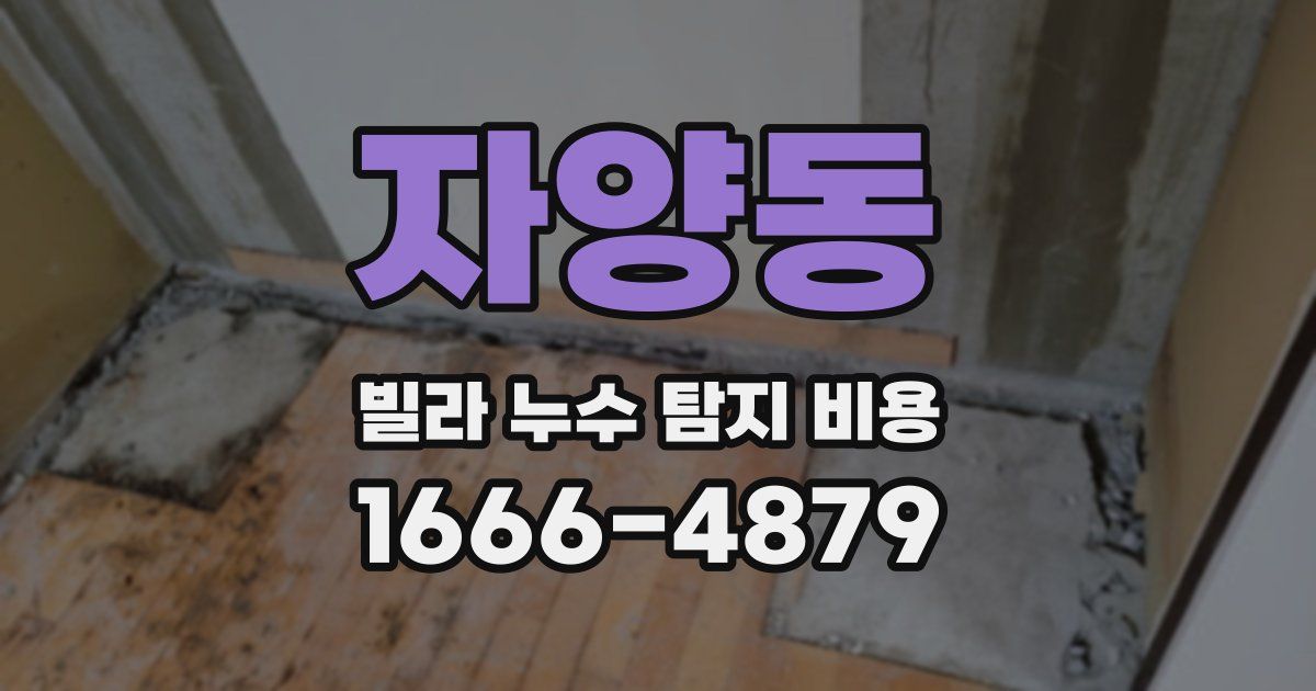 자양동 빌라 누수 탐지 비용