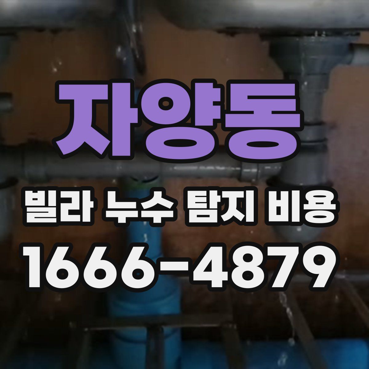 자양동 빌라 누수 탐지 비용