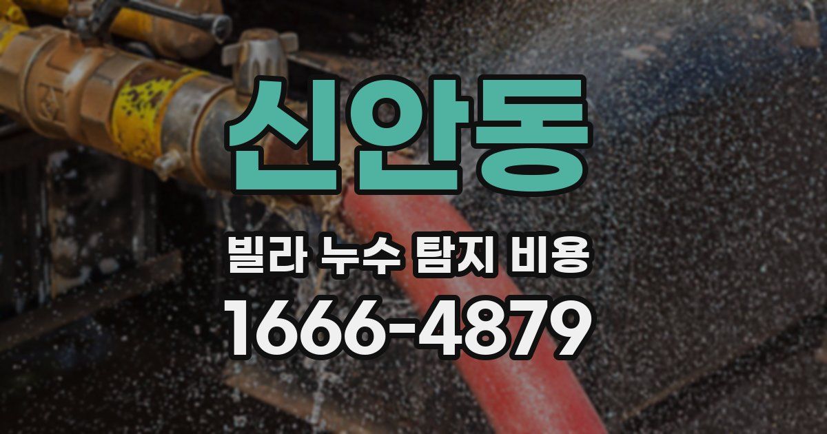 신안동 빌라 누수 탐지 비용
