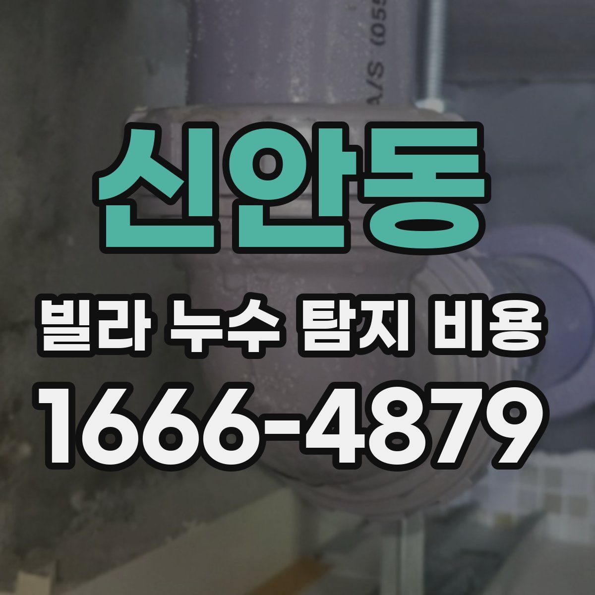 신안동 빌라 누수 탐지 비용