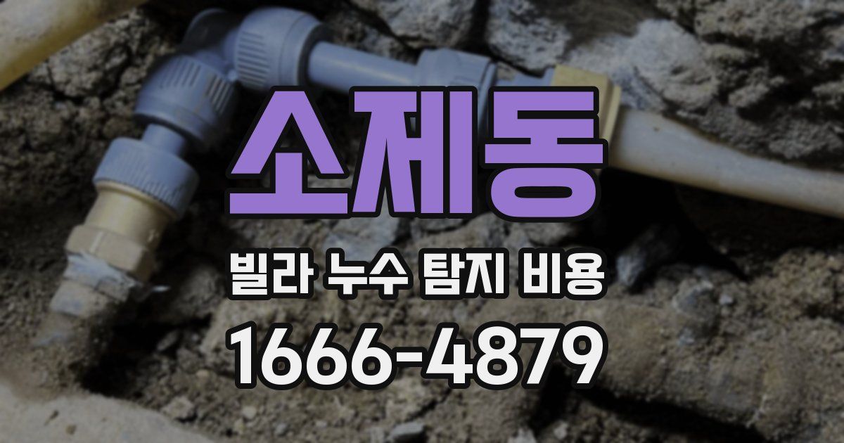 소제동 빌라 누수 탐지 비용