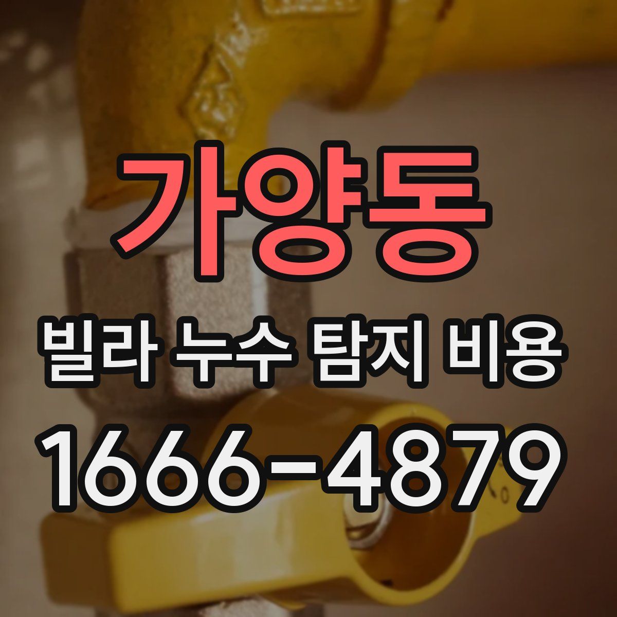 가양동 빌라 누수 탐지 비용